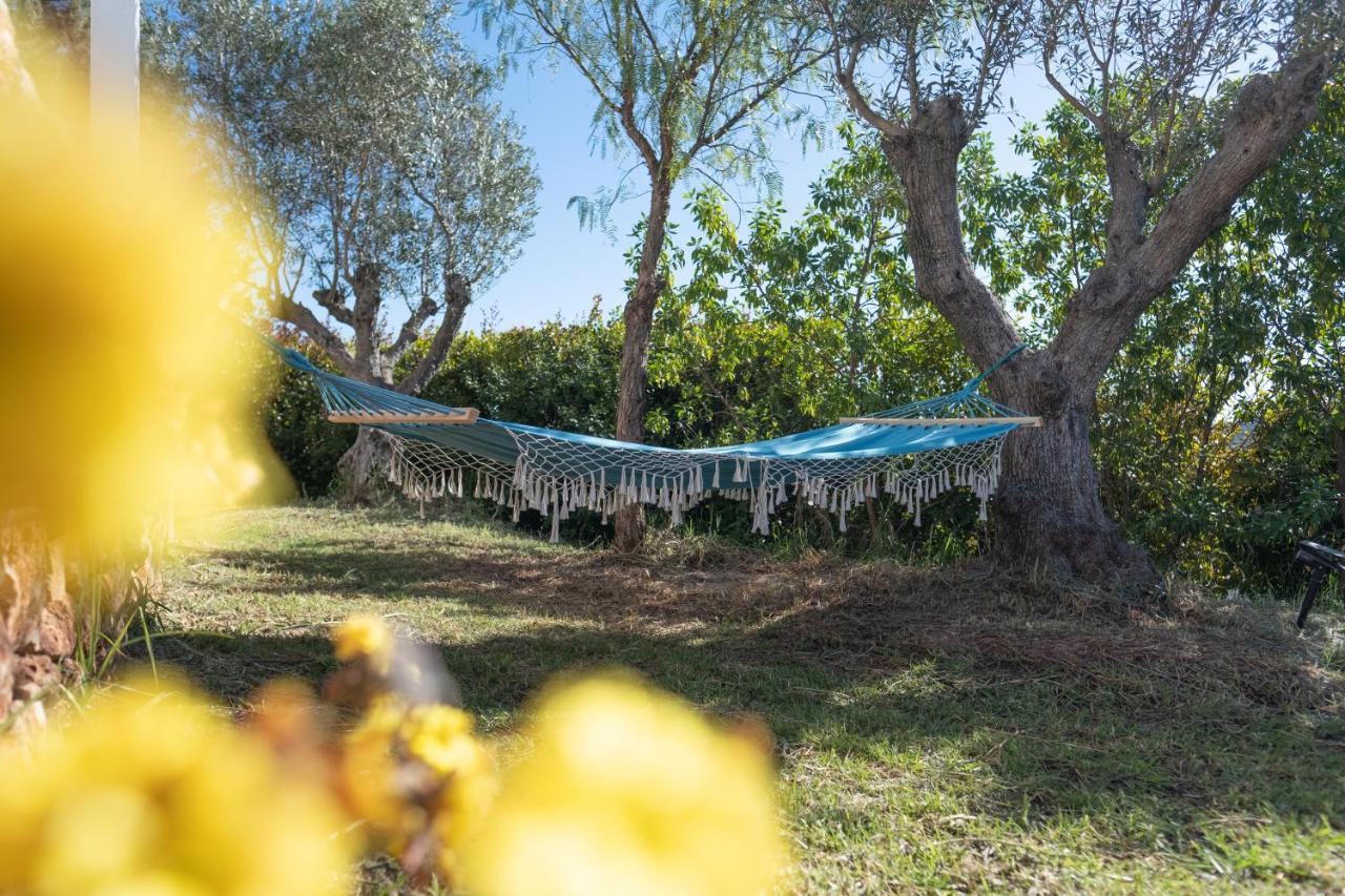 Vila Quinta Do Gato Preto Silves Exteriér fotografie
